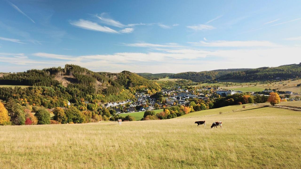 Sauerland Stern Hotel Віллінген Екстер'єр фото